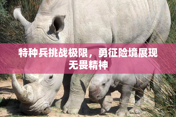 特种兵挑战极限，勇征险境展现无畏精神