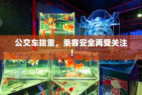 公交车拨重，乘客安全再受关注！