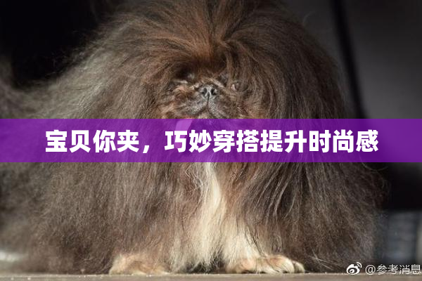 宝贝你夹，巧妙穿搭提升时尚感