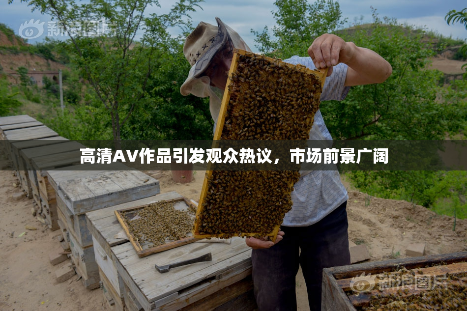 高清AV作品引发观众热议，市场前景广阔