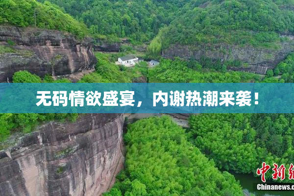 无码情欲盛宴，内谢热潮来袭！