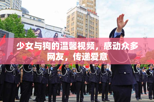 少女与狗的温馨视频，感动众多网友，传递爱意