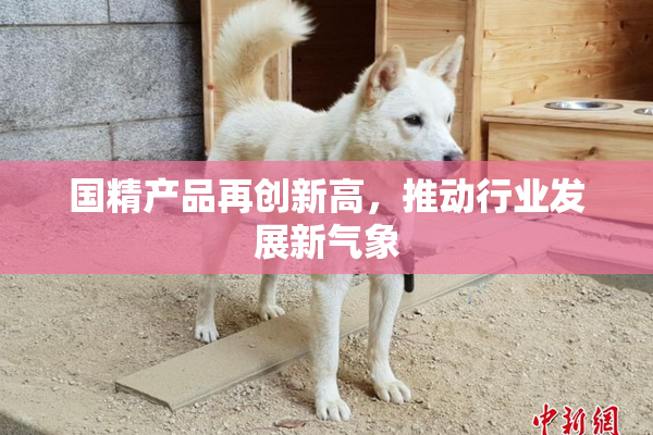 国精产品再创新高，推动行业发展新气象