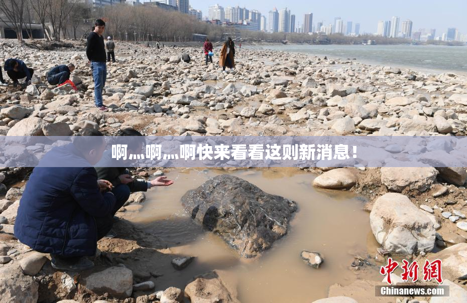 啊灬啊灬啊快来看看这则新消息！