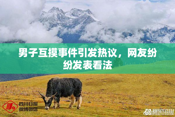 男子互摸事件引发热议，网友纷纷发表看法