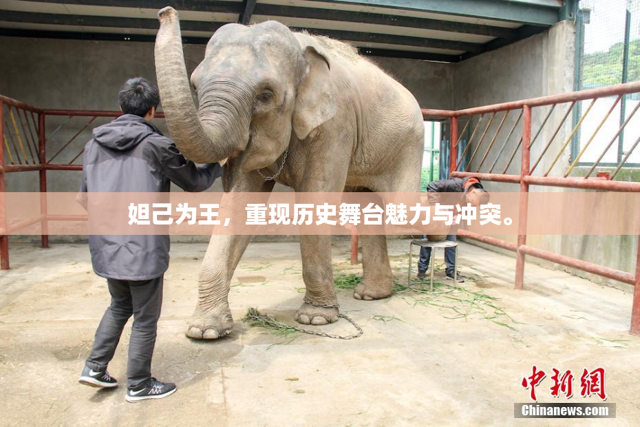 妲己为王，重现历史舞台魅力与冲突。