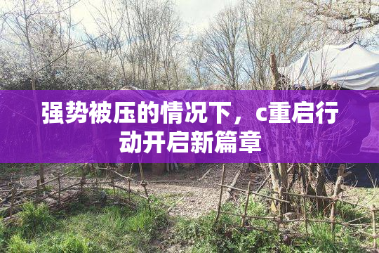 强势被压的情况下，c重启行动开启新篇章
