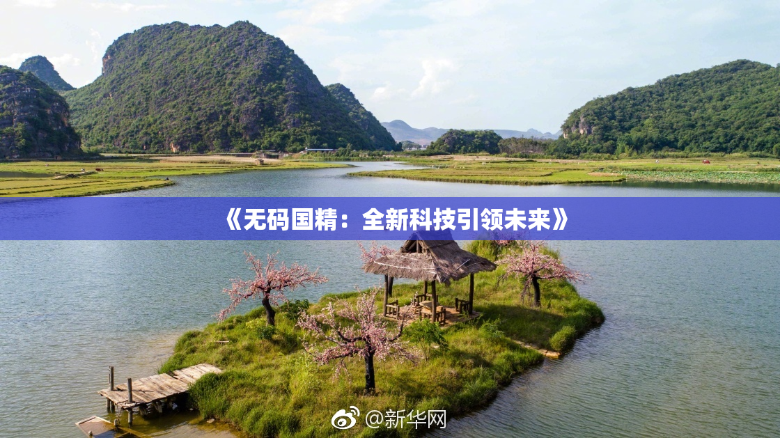 《无码国精：全新科技引领未来》