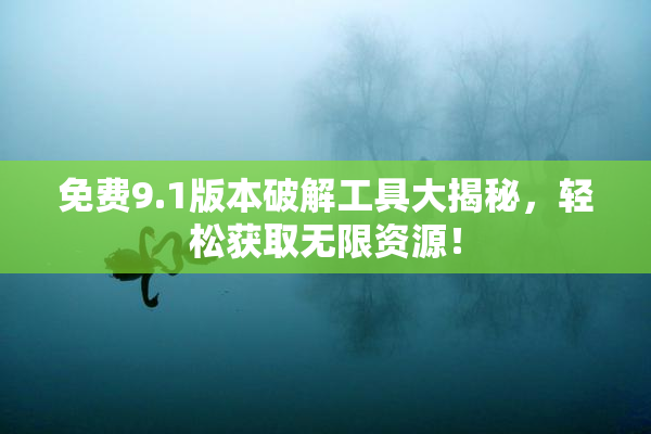免费9.1版本破解工具大揭秘，轻松获取无限资源！