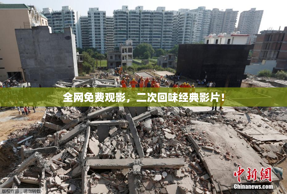 全网免费观影，二次回味经典影片！
