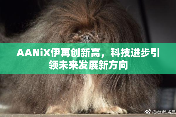 AANiX伊再创新高，科技进步引领未来发展新方向