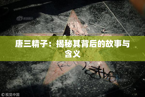 唐三精子：揭秘其背后的故事与含义