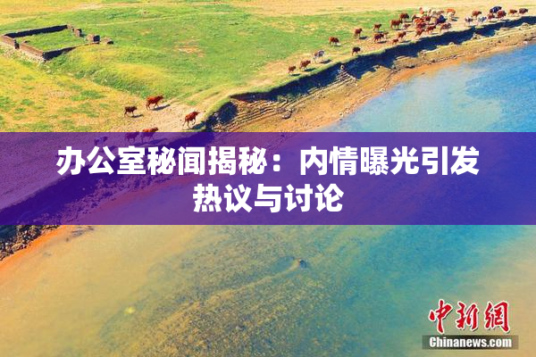 办公室秘闻揭秘：内情曝光引发热议与讨论