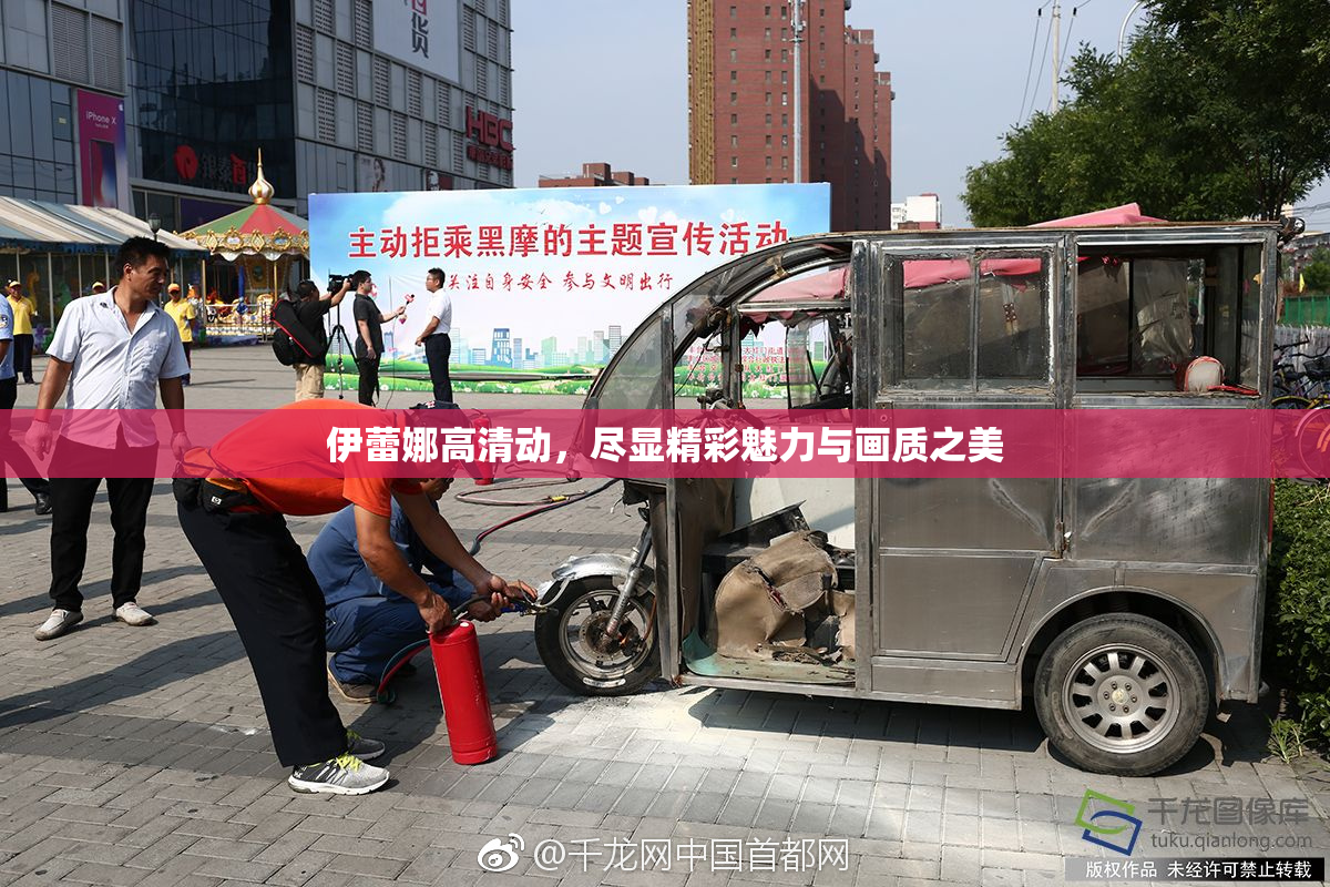 伊蕾娜高清动，尽显精彩魅力与画质之美