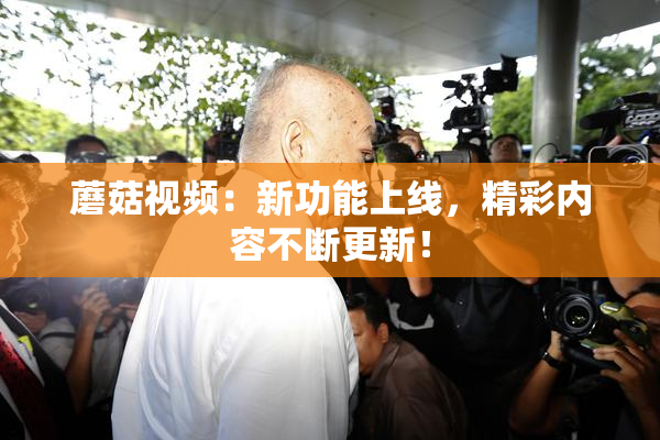 蘑菇视频：新功能上线，精彩内容不断更新！