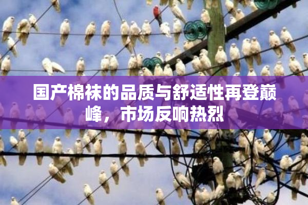 国产棉袜的品质与舒适性再登巅峰，市场反响热烈