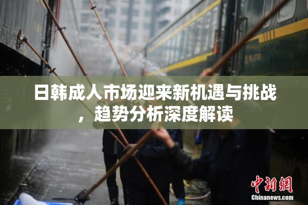 日韩成人市场迎来新机遇与挑战，趋势分析深度解读