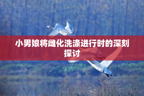 小男娘将雌化洗涤进行时的深刻探讨