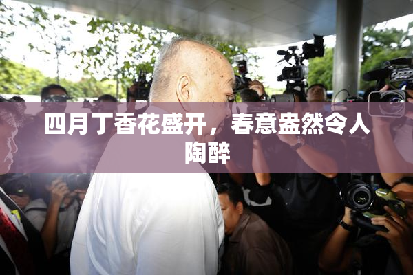 四月丁香花盛开，春意盎然令人陶醉