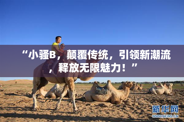 “小骚B，颠覆传统，引领新潮流，释放无限魅力！”