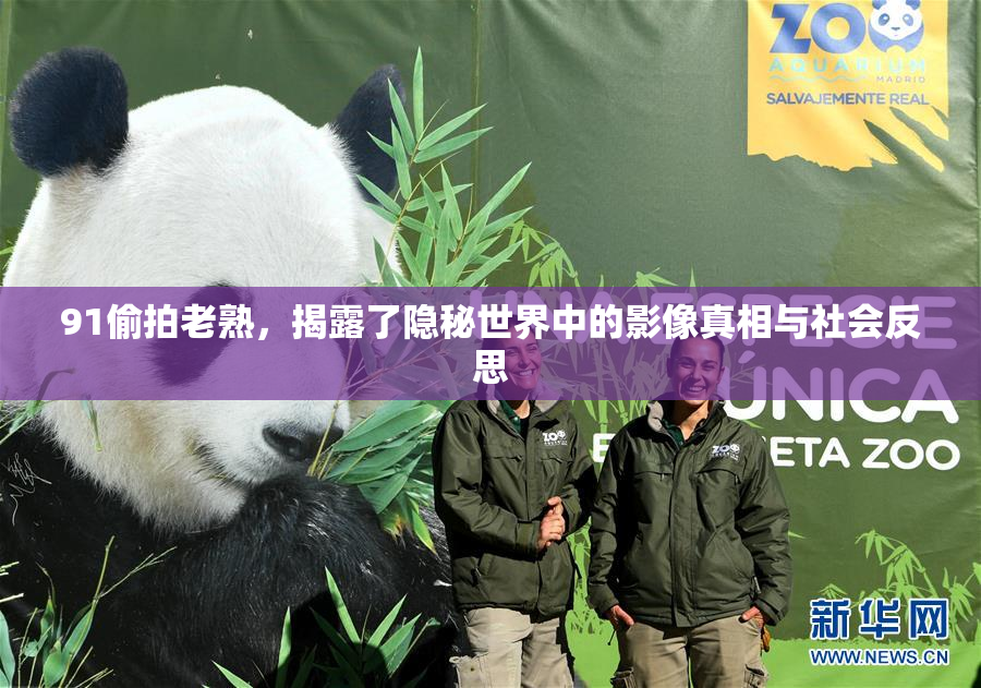 91偷拍老熟，揭露了隐秘世界中的影像真相与社会反思
