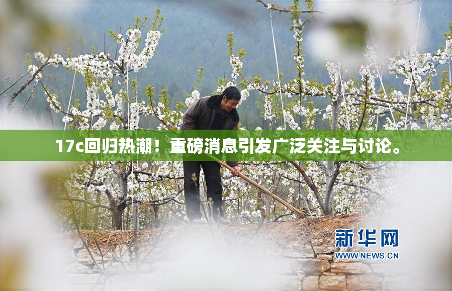 17c回归热潮！重磅消息引发广泛关注与讨论。