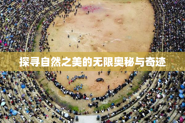 探寻自然之美的无限奥秘与奇迹