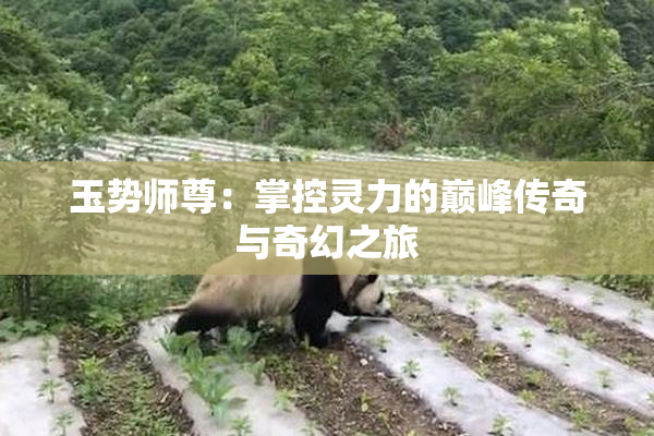 玉势师尊：掌控灵力的巅峰传奇与奇幻之旅