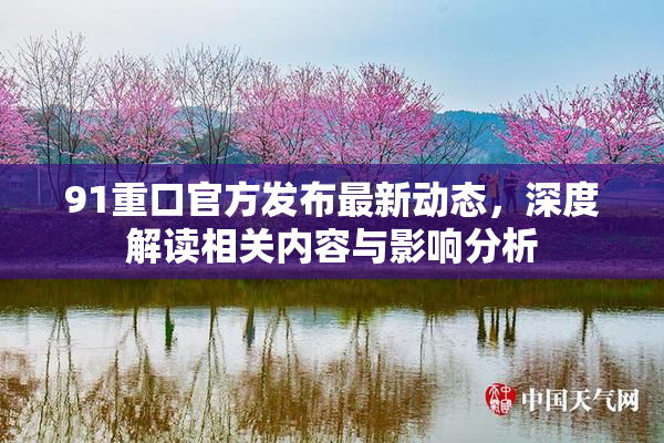 91重口官方发布最新动态，深度解读相关内容与影响分析