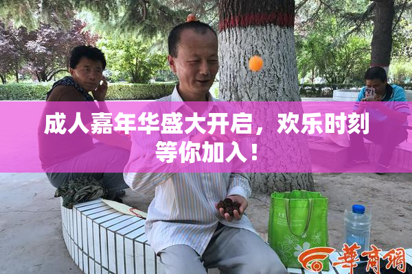 成人嘉年华盛大开启，欢乐时刻等你加入！