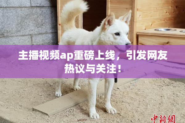 主播视频ap重磅上线，引发网友热议与关注！