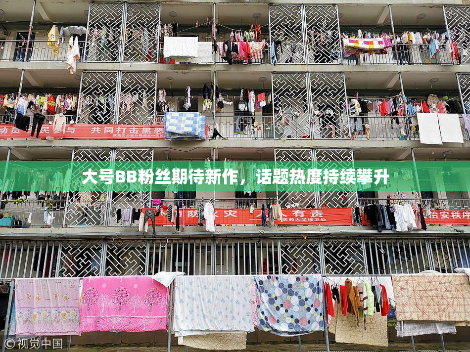 大号BB粉丝期待新作，话题热度持续攀升