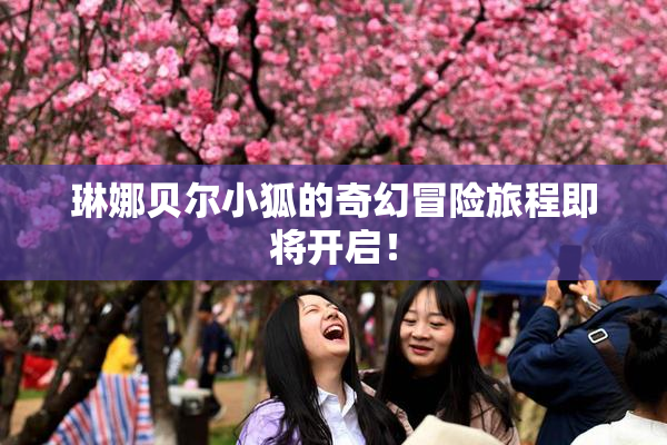琳娜贝尔小狐的奇幻冒险旅程即将开启！