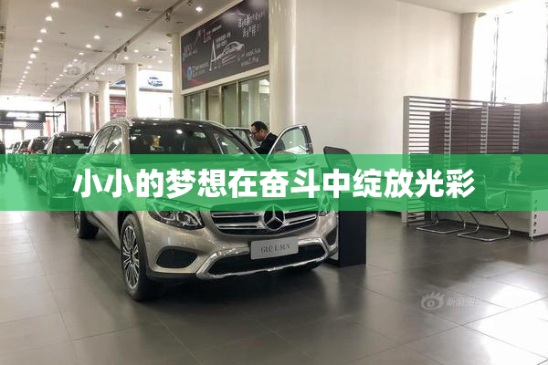 小小的梦想在奋斗中绽放光彩