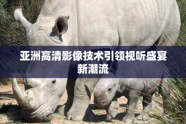 亚洲高清影像技术引领视听盛宴新潮流