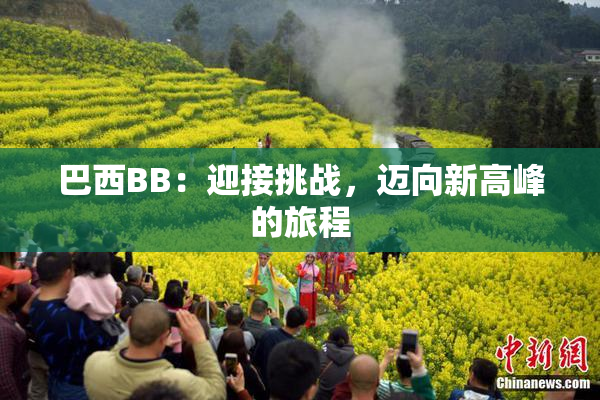 巴西BB：迎接挑战，迈向新高峰的旅程