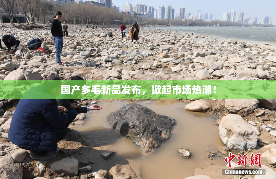 国产多毛新品发布，掀起市场热潮！