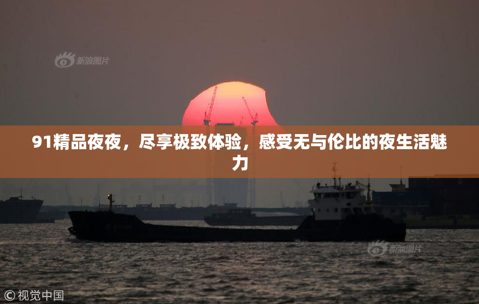 91精品夜夜，尽享极致体验，感受无与伦比的夜生活魅力