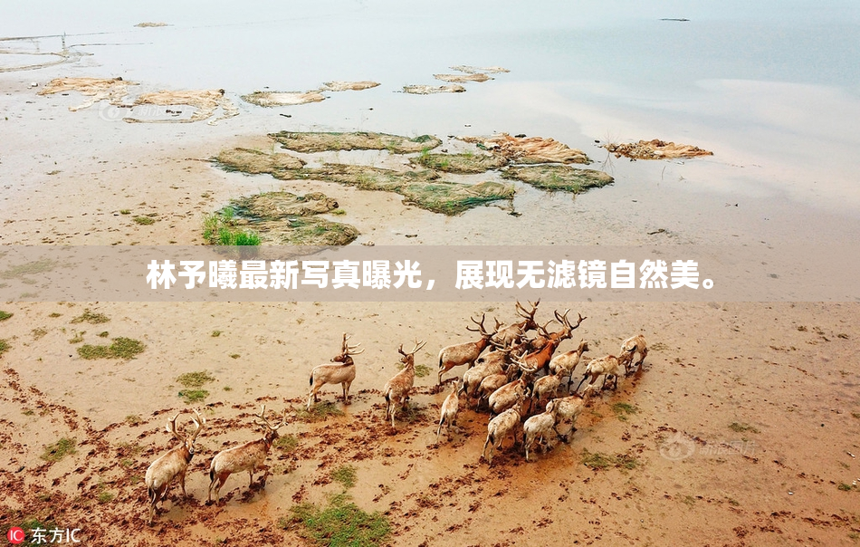 林予曦最新写真曝光，展现无滤镜自然美。