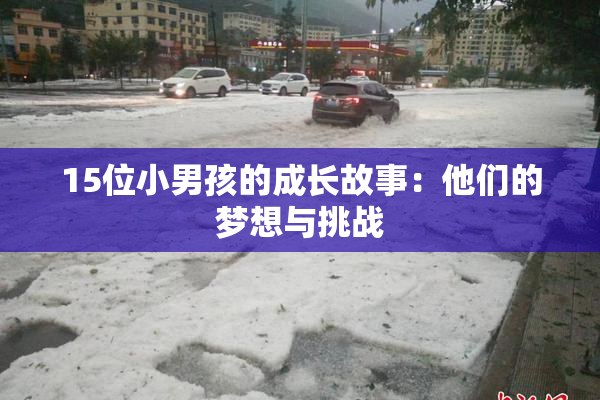 15位小男孩的成长故事：他们的梦想与挑战