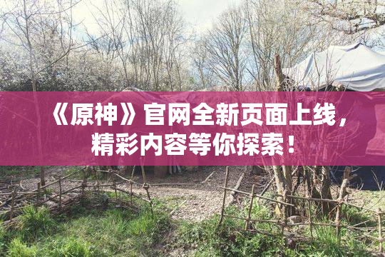《原神》官网全新页面上线，精彩内容等你探索！