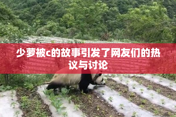 少萝被c的故事引发了网友们的热议与讨论