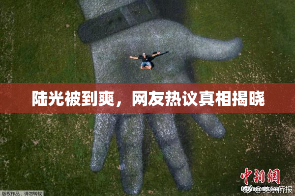 陆光被到爽，网友热议真相揭晓