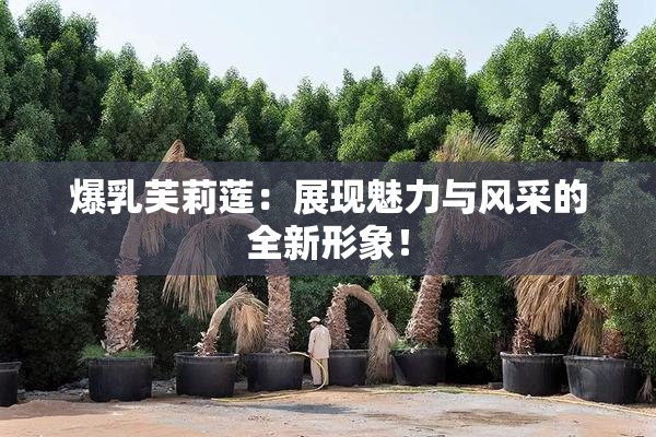 爆乳芙莉莲：展现魅力与风采的全新形象！
