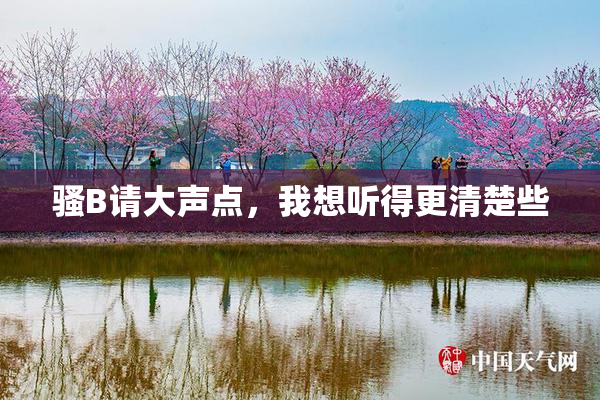 骚B请大声点，我想听得更清楚些