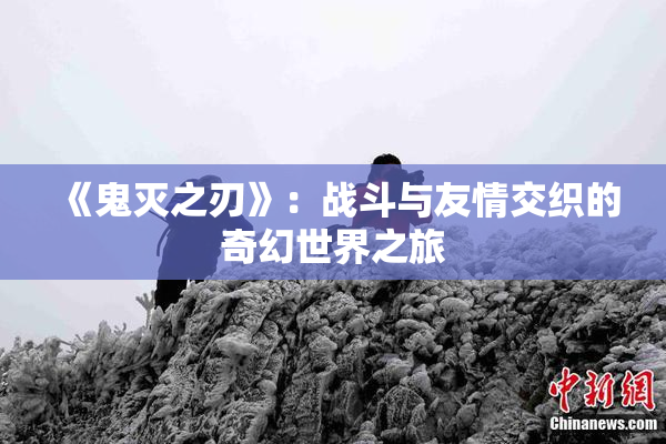 《鬼灭之刃》：战斗与友情交织的奇幻世界之旅