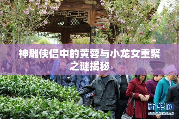 神雕侠侣中的黄蓉与小龙女重聚之谜揭秘