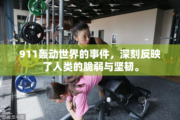 911轰动世界的事件，深刻反映了人类的脆弱与坚韧。