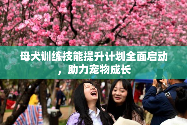 母犬训练技能提升计划全面启动，助力宠物成长