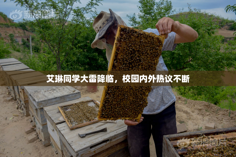 艾琳同学大雷降临，校园内外热议不断